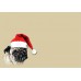 CHRISTMAS DREAMS Christmas Pug
